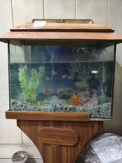 Fish Aquarium For Sale