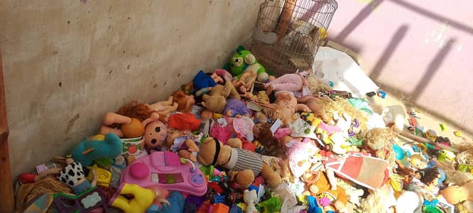 toys hen 15 se 20 kg.