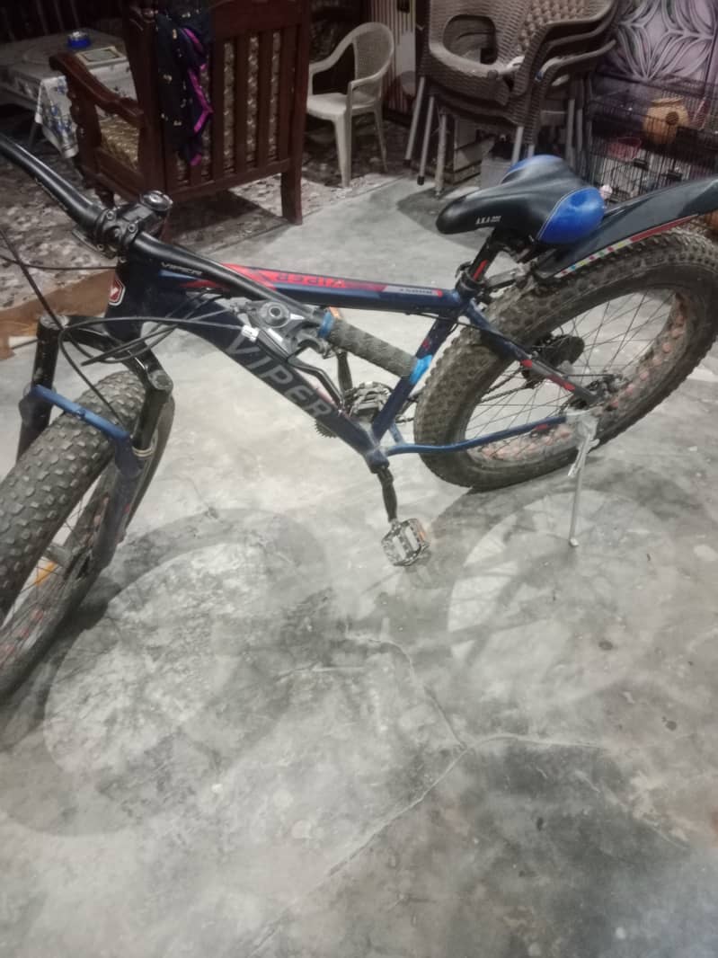 Fat tyer cycle 1