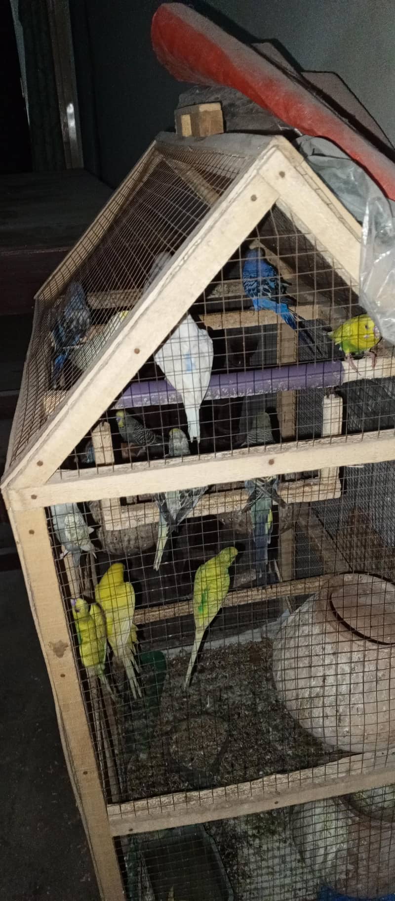 Australian Birds 0