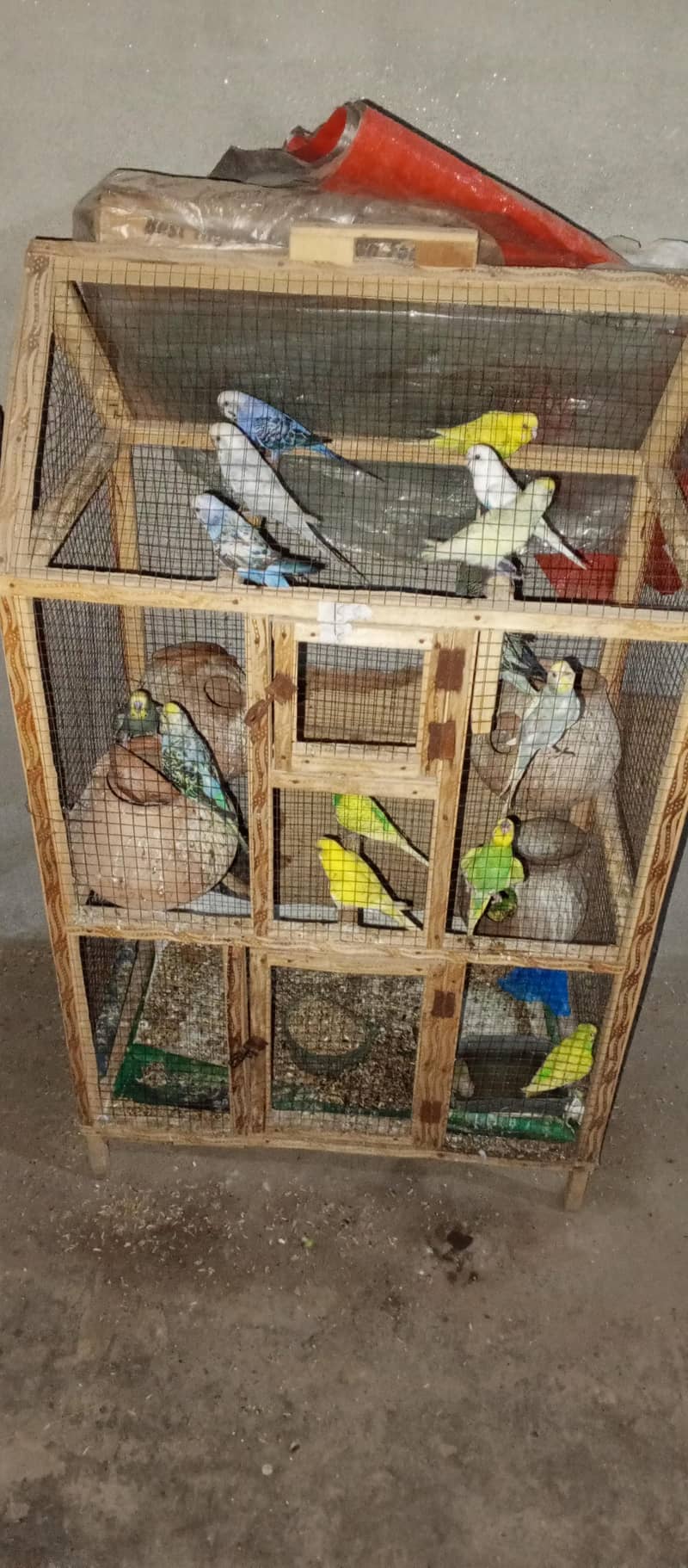 Australian Birds 1