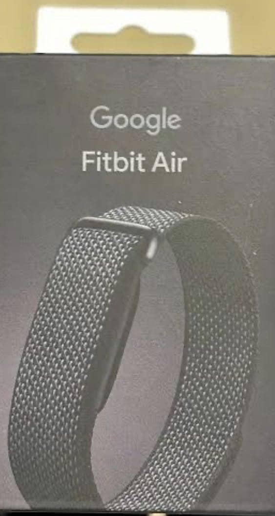 Google Fitbit Air 1