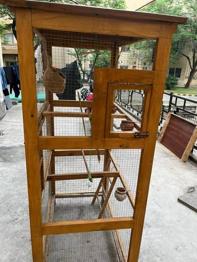 Cage - Birds