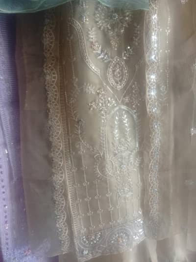 lady suit 2 pics