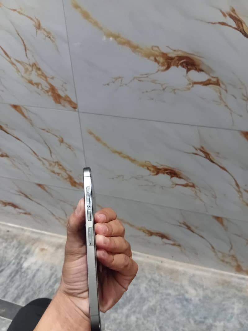 Apple iPhone 13 Pro Max 1