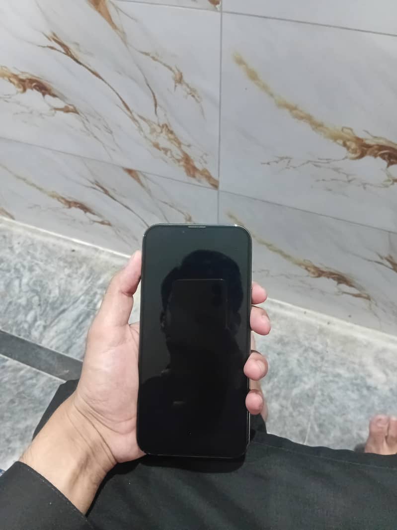 Apple iPhone 13 Pro Max 3