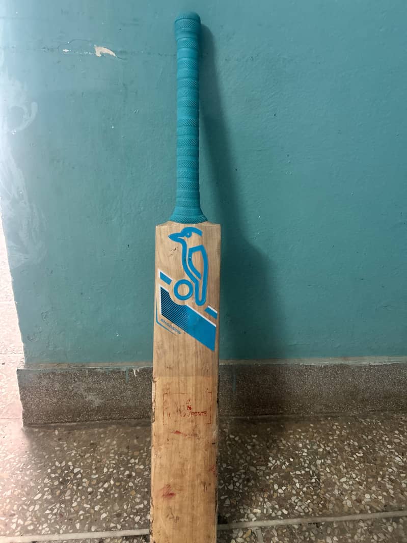 1 month use bat 1