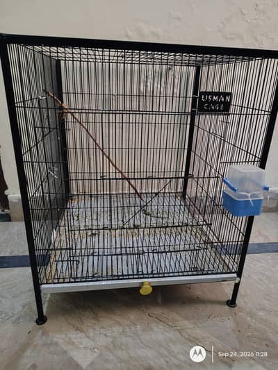 Birds Cage