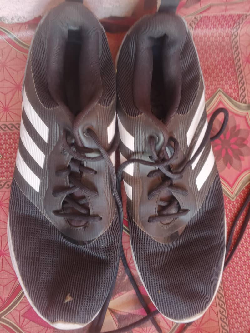 Shoes 11