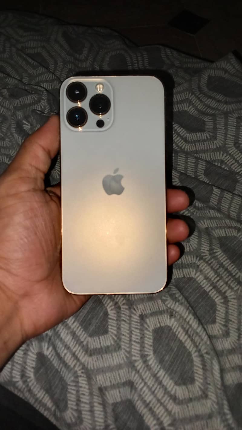 Apple iPhone 13 Pro Max 0