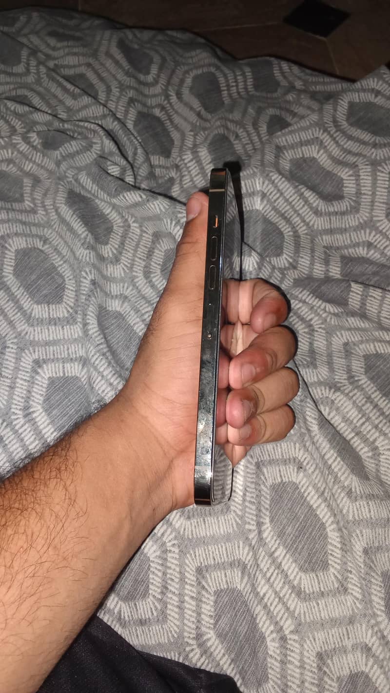 Apple iPhone 13 Pro Max 2