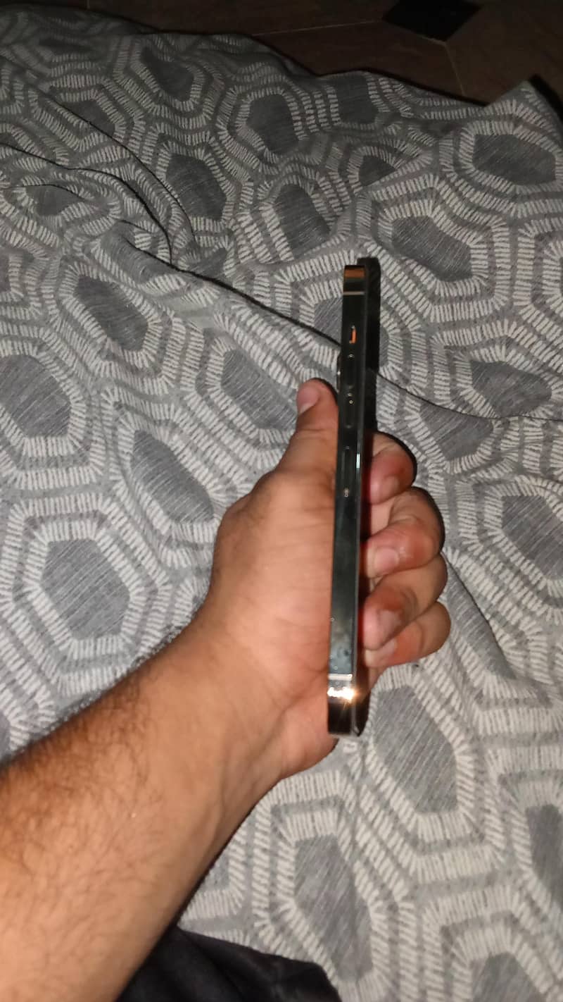 Apple iPhone 13 Pro Max 3