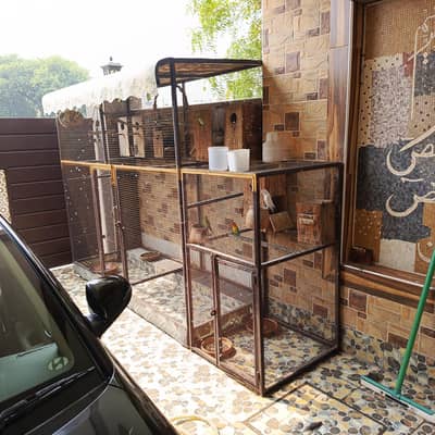 all setup cage,parrots and accessories
