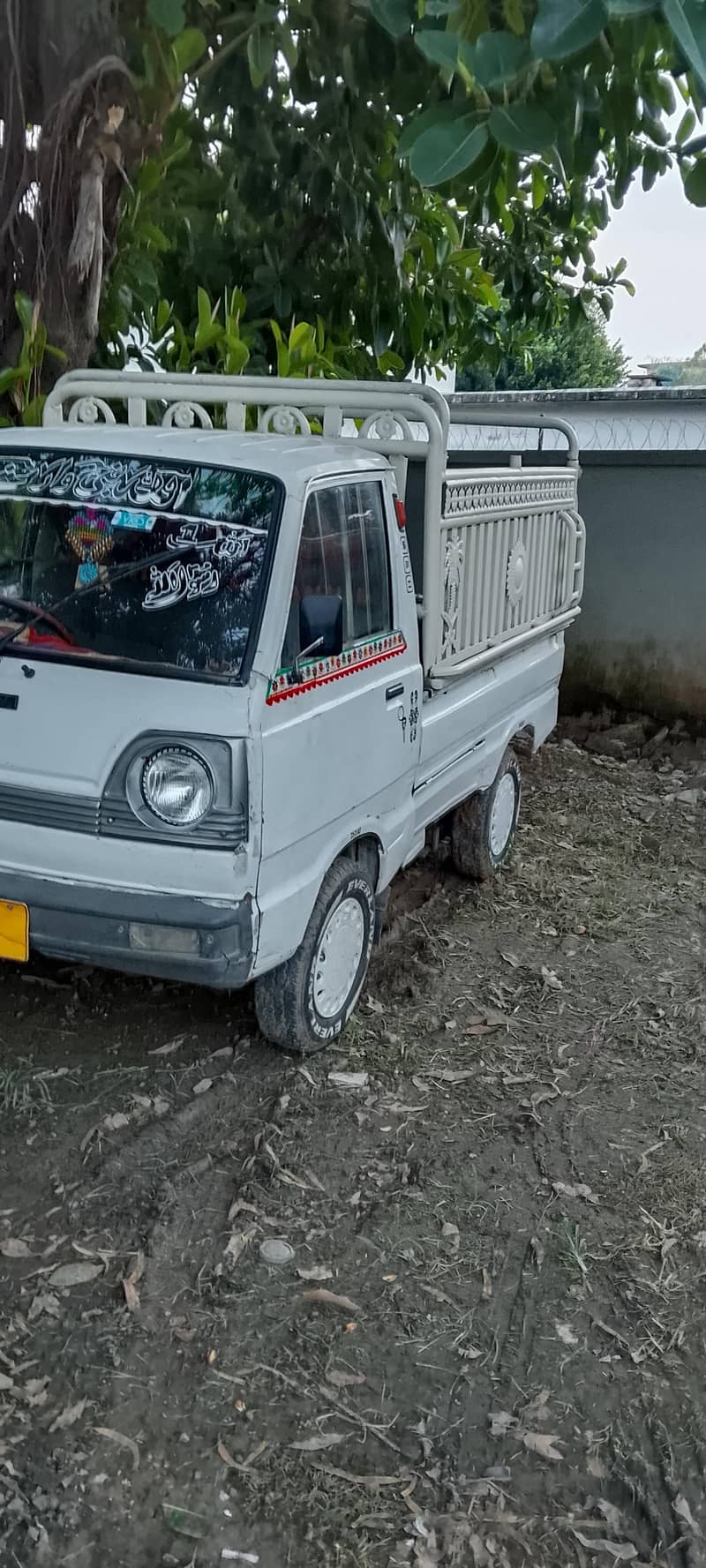 سو زکی1987 0