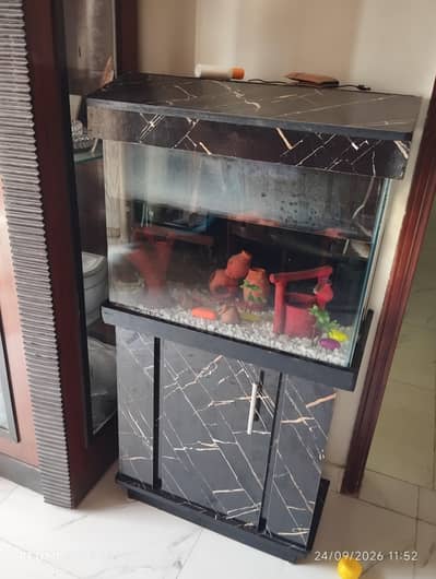 aquarium for sale