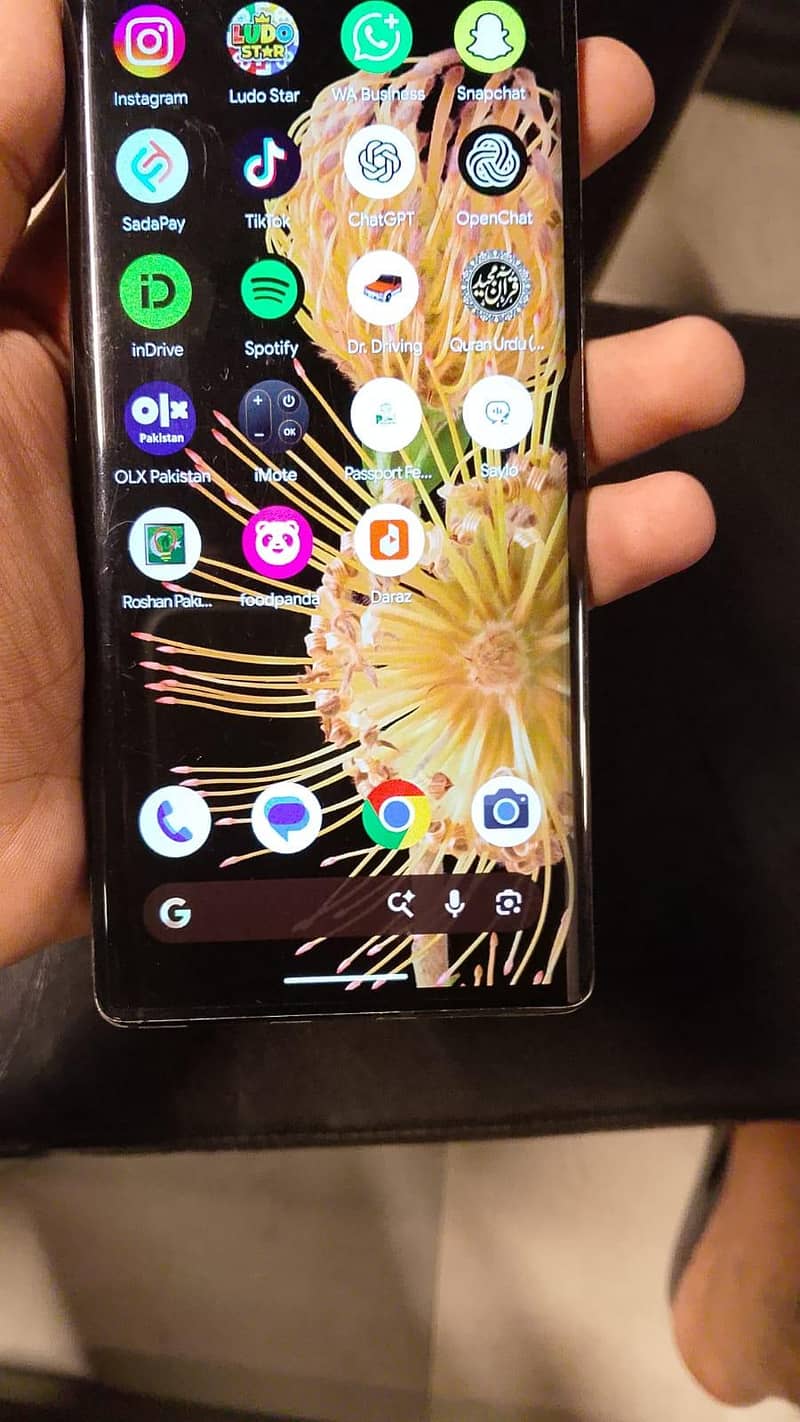 Google Pixel 6 Pro 1