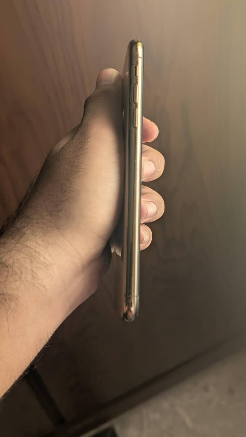 Apple iPhone XS Max 2