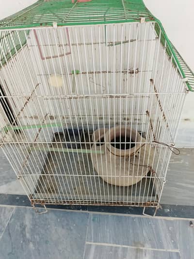 Cage for birds