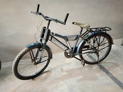 CHICAGO bicycle for sale  03007683163