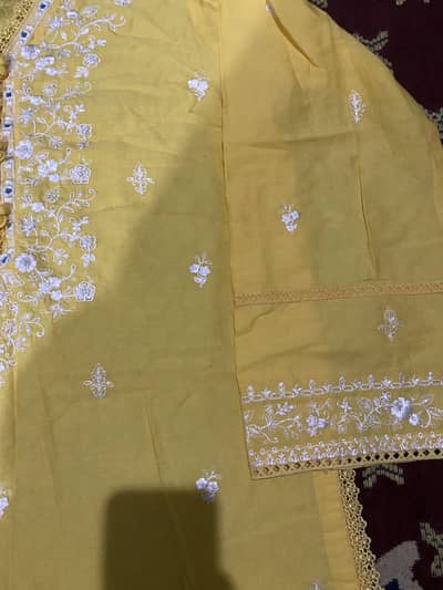 Aghanoor fully embroidered shirt