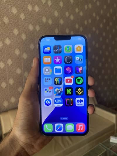 Apple iPhone 13 Pro Max