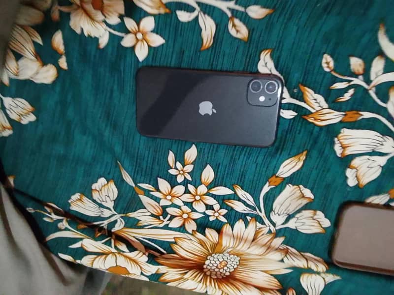 Apple iPhone 11 0