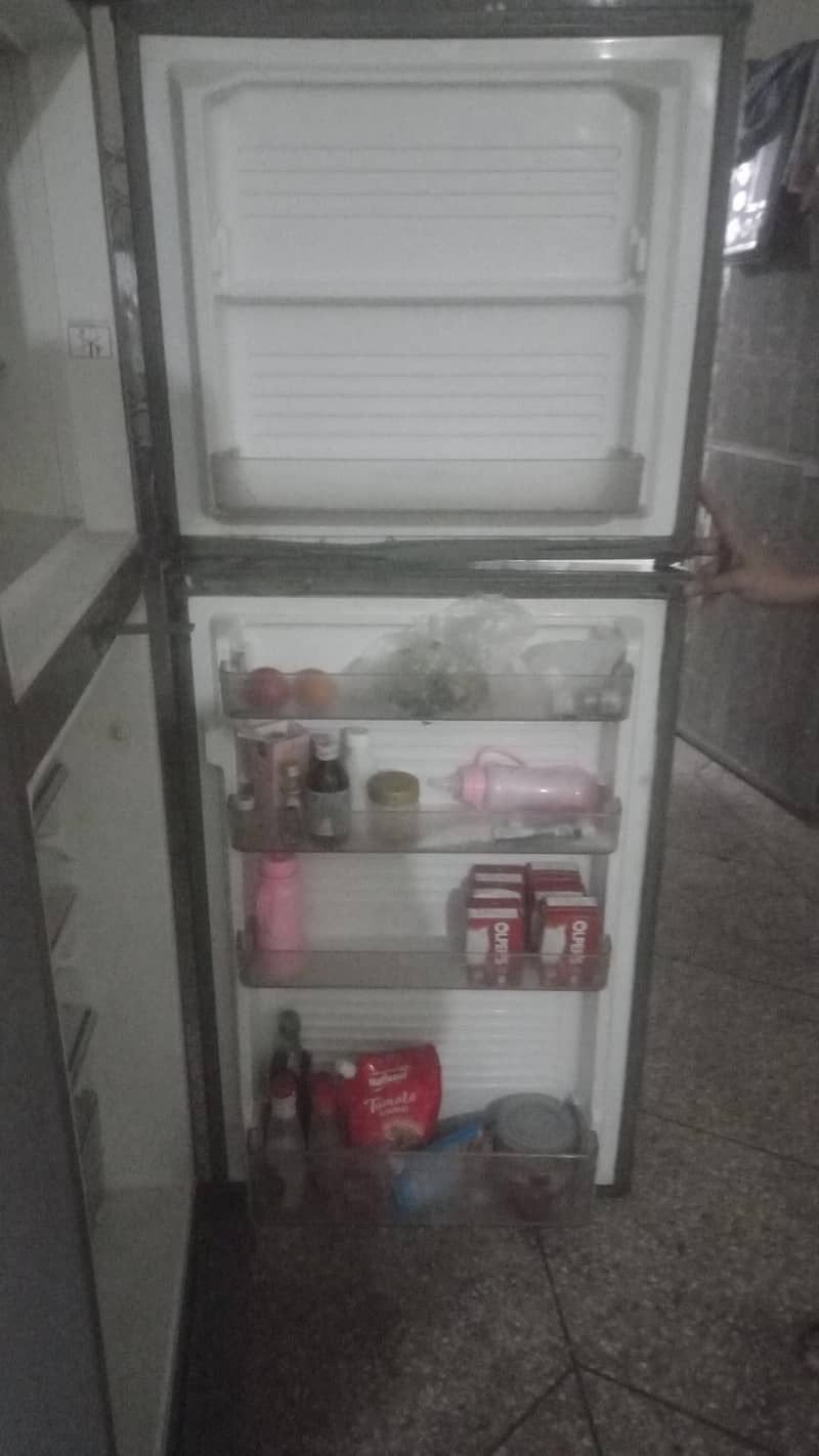 frige 1