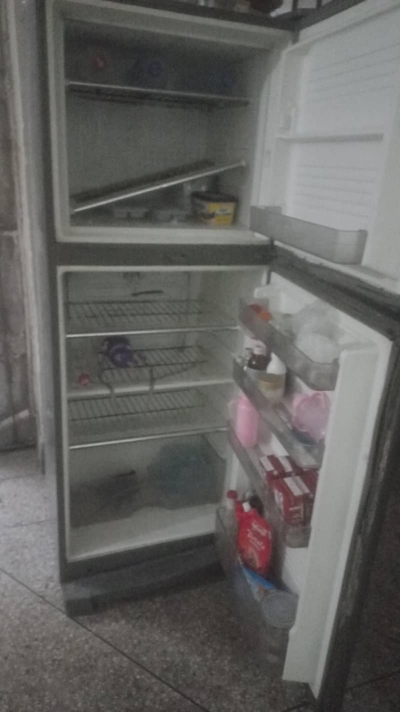 frige 2