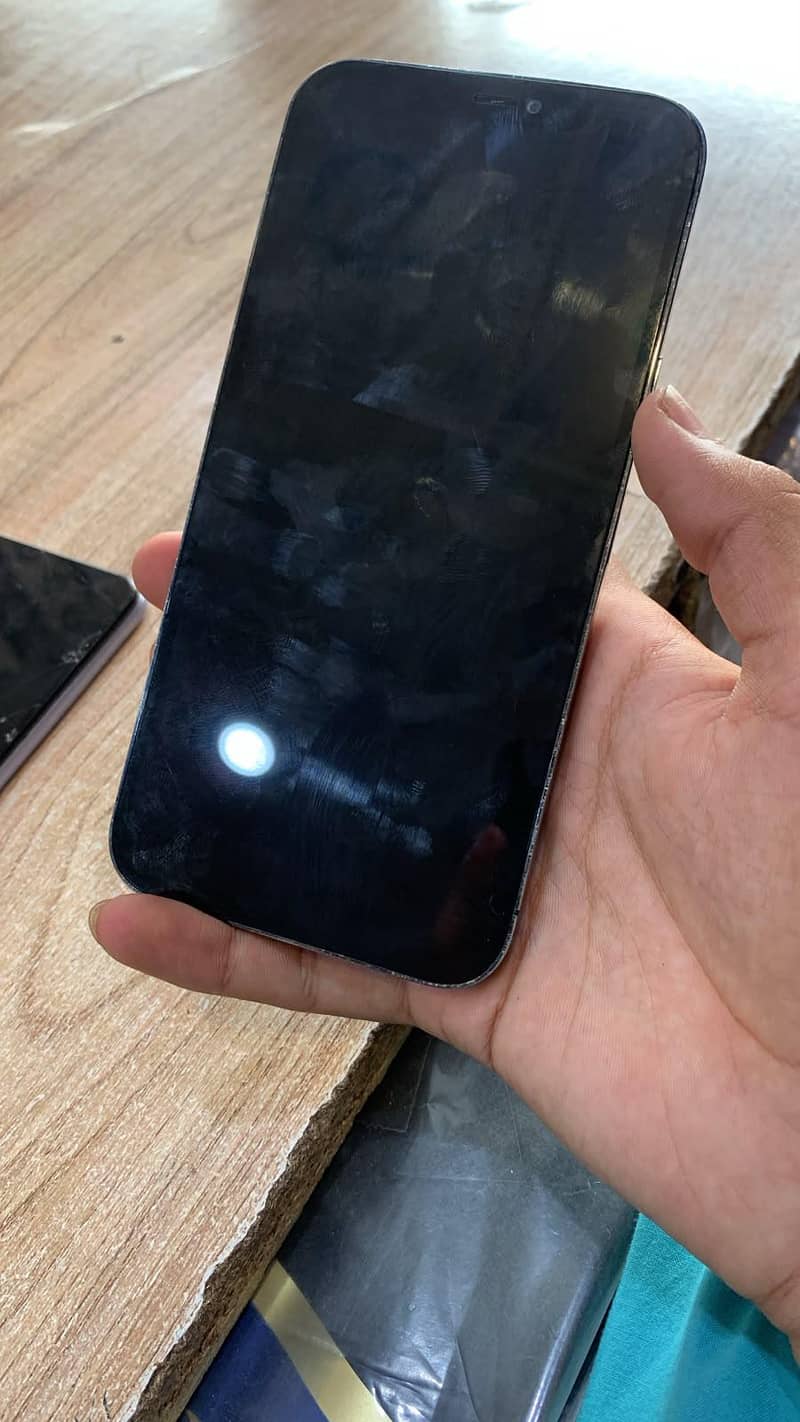 Apple iPhone 12 Pro Max 1