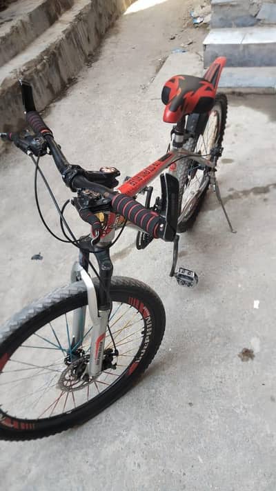 dolphin river sports cycle
