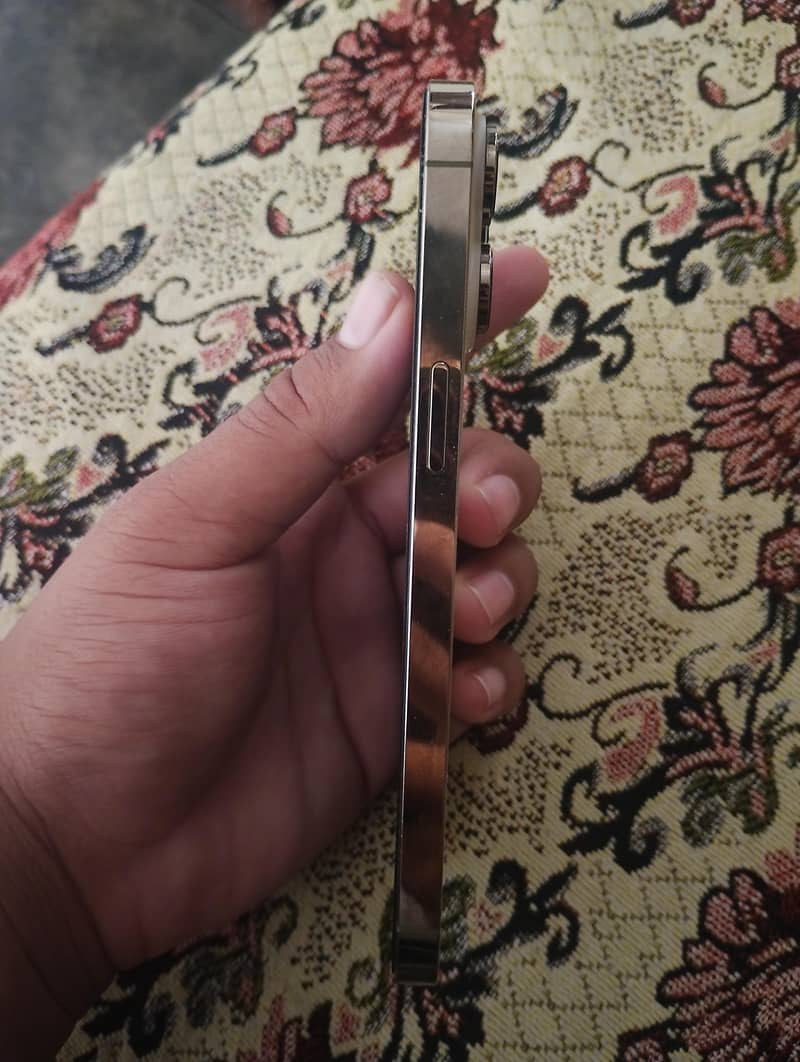 Apple iPhone 14 Pro Max 1