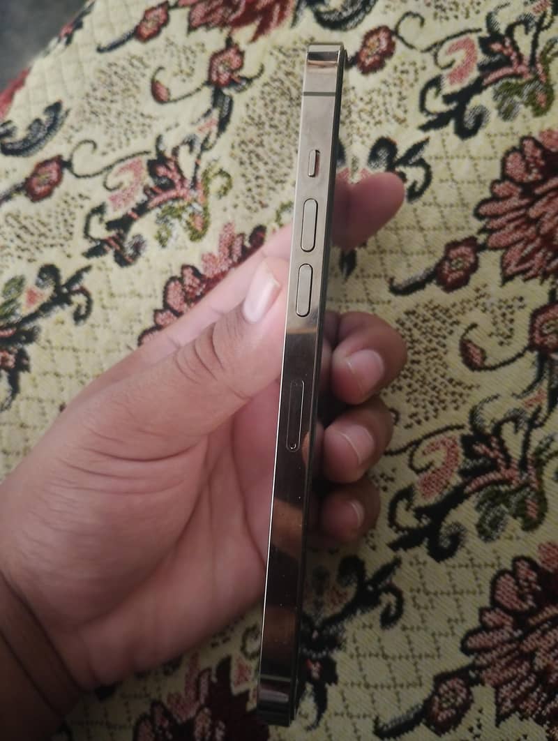 Apple iPhone 14 Pro Max 2