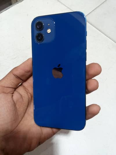 Apple iPhone 12