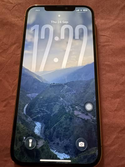Apple iPhone 12 Pro Max