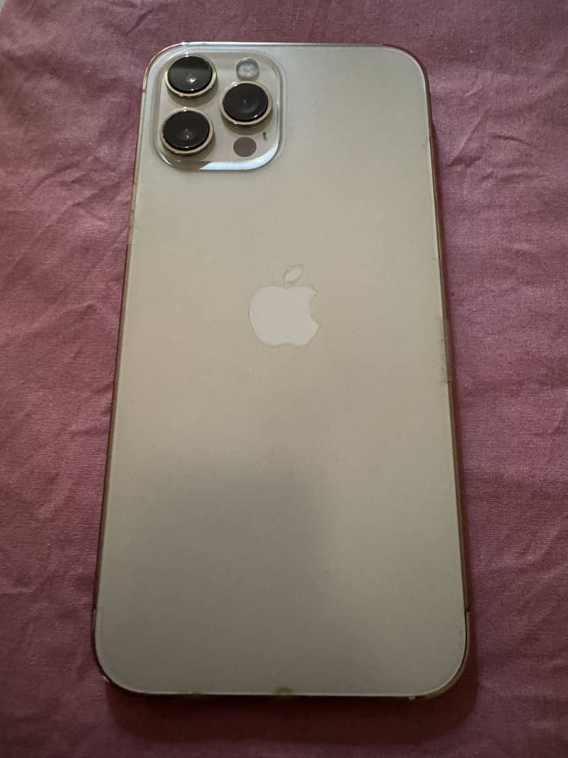 Apple iPhone 12 Pro Max 1