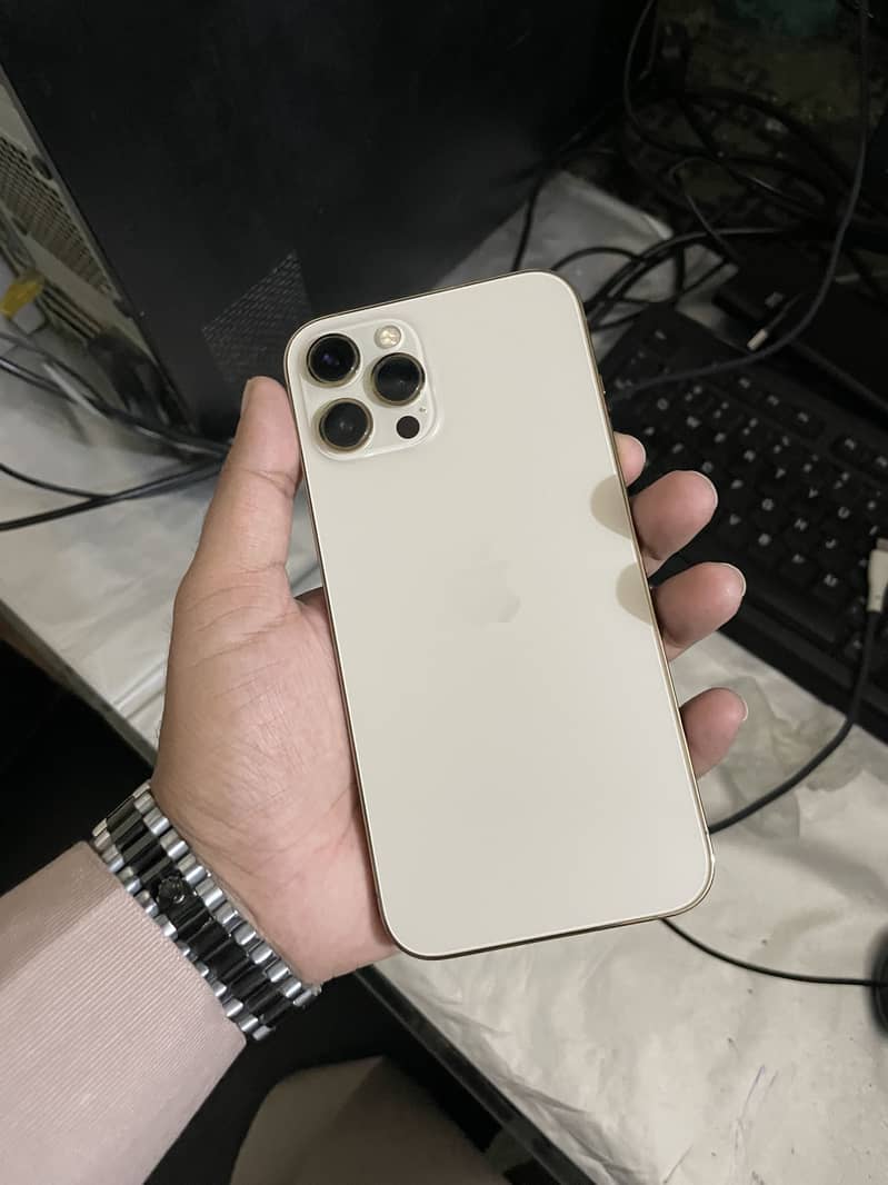 Apple iPhone 12 Pro Max 1