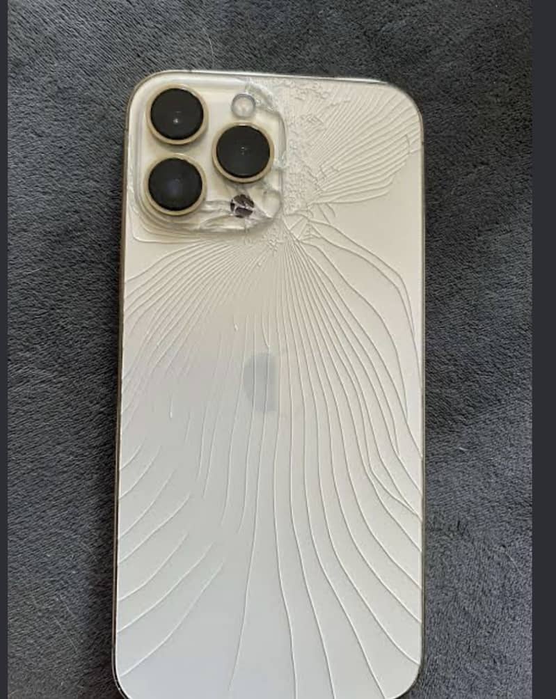 Apple iPhone 13 Pro 1