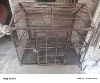 hen and birds cage