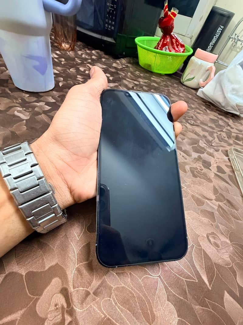 Apple iPhone 13 Pro Max 1