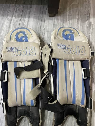 Cricket Batting Pads