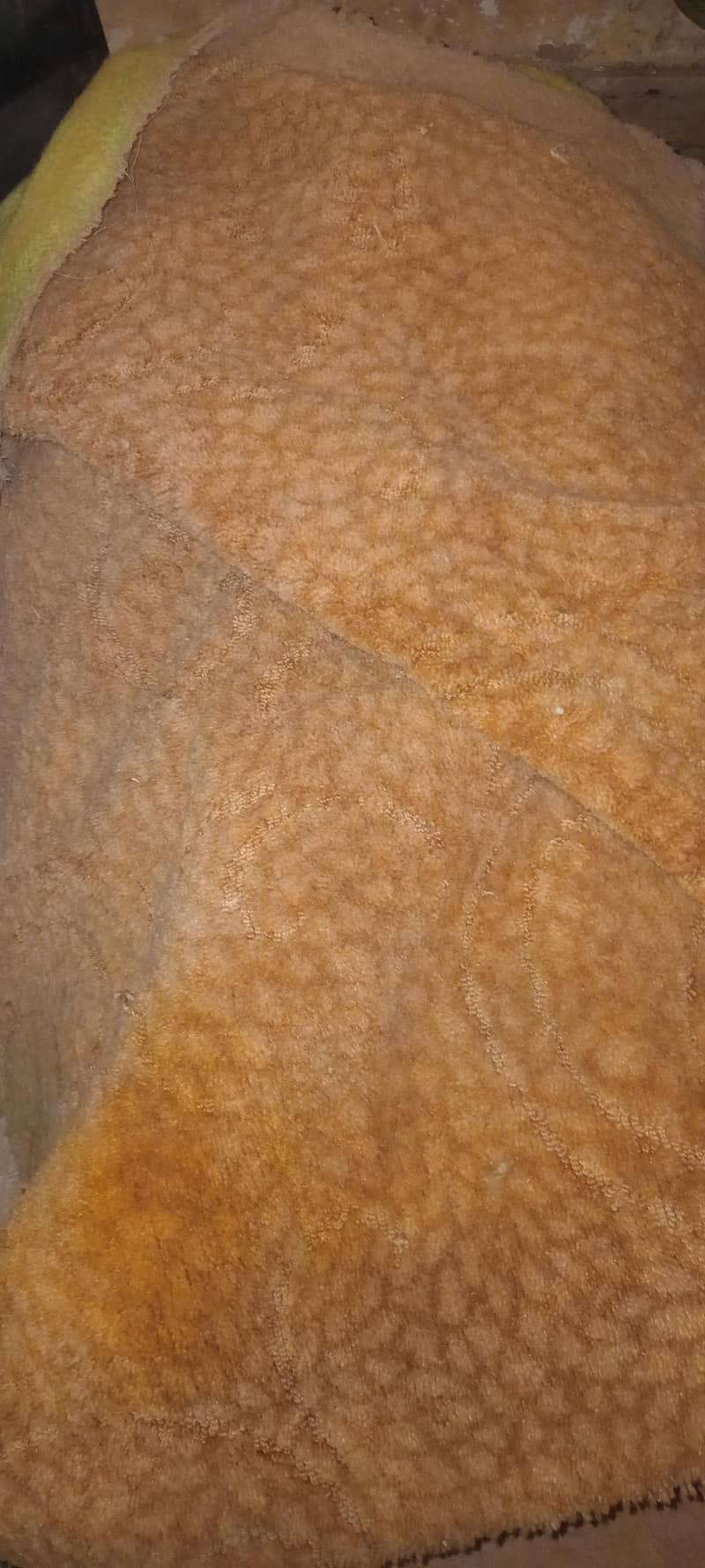 carpet 0