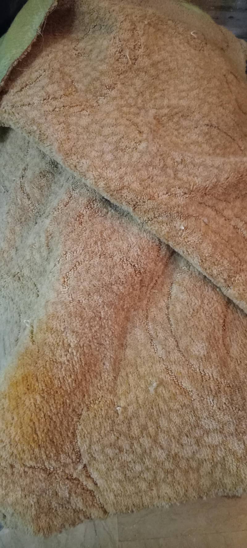 carpet 1