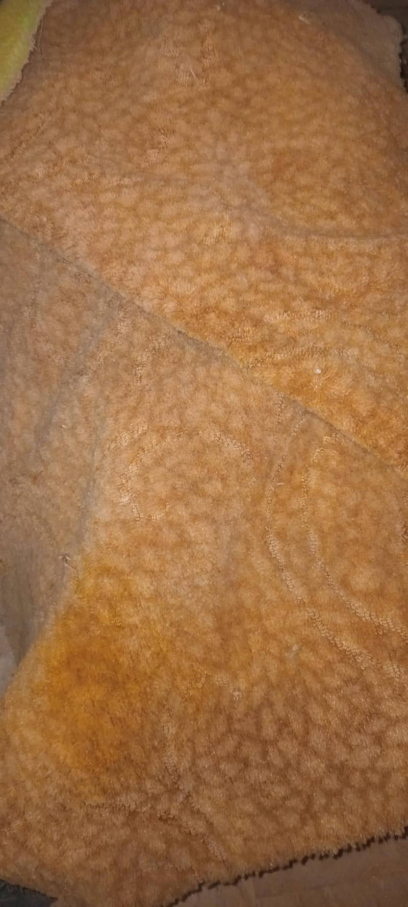 carpet 5