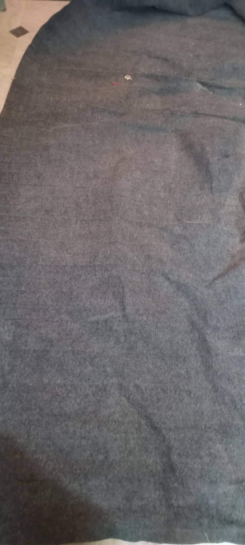 carpet 6