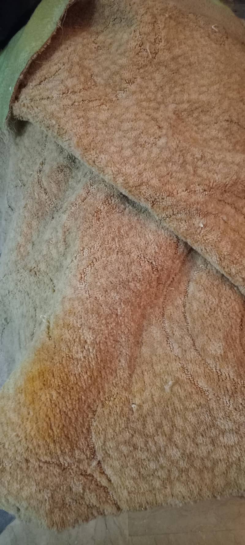 carpet 7