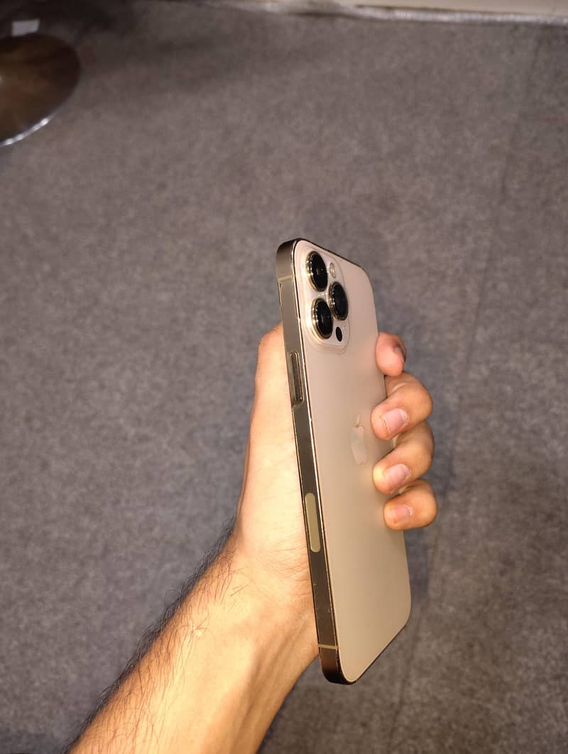 Apple iPhone 13 Pro Max 1