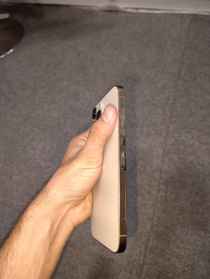 Apple iPhone 13 Pro Max 2