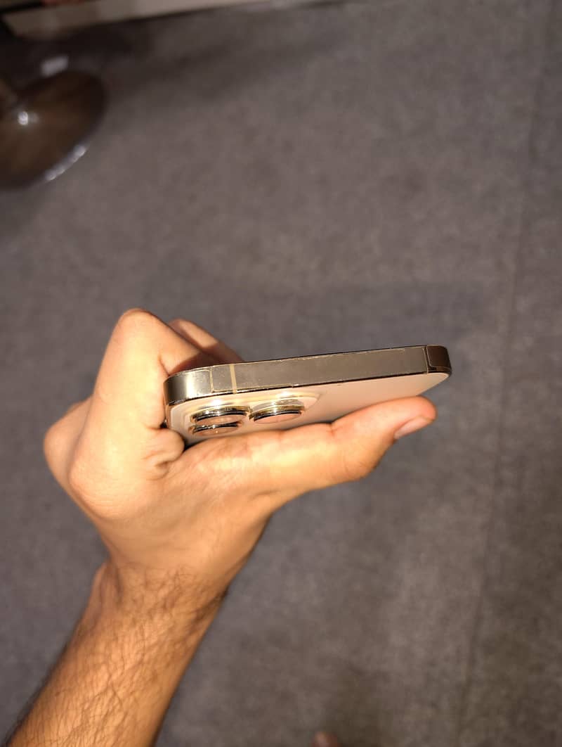 Apple iPhone 13 Pro Max 4