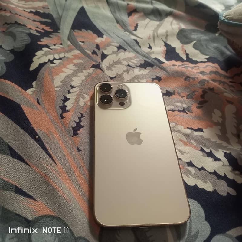 Apple iPhone 13 Pro Max 0