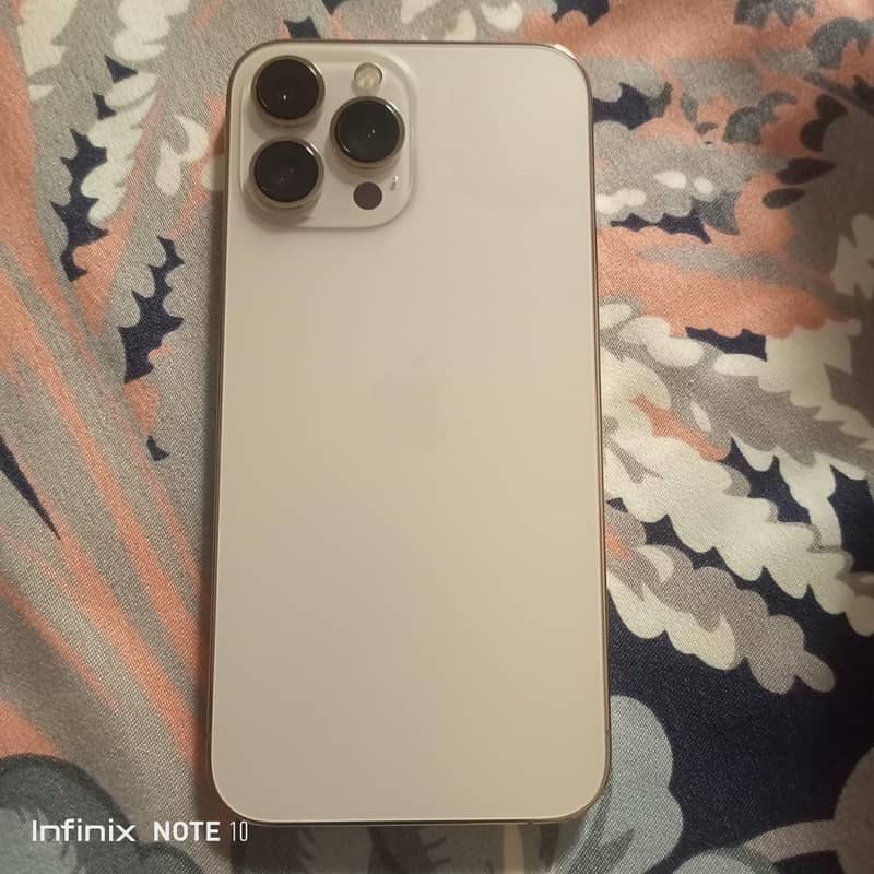 Apple iPhone 13 Pro Max 1